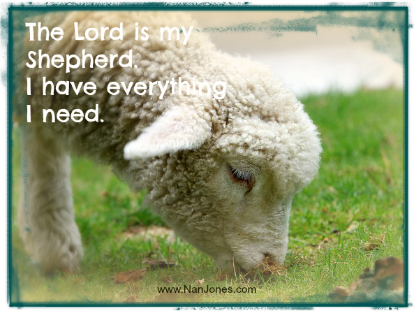 Finding God’s Presence ~ Anointed by Our Shepherd
