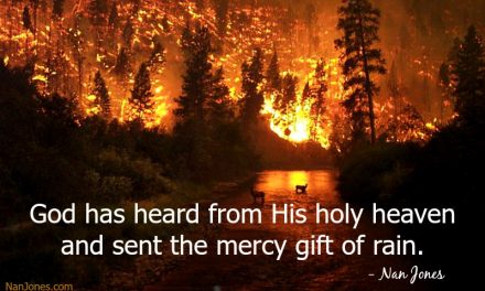 Amber Flames Bring Heartache and Fear. But God …