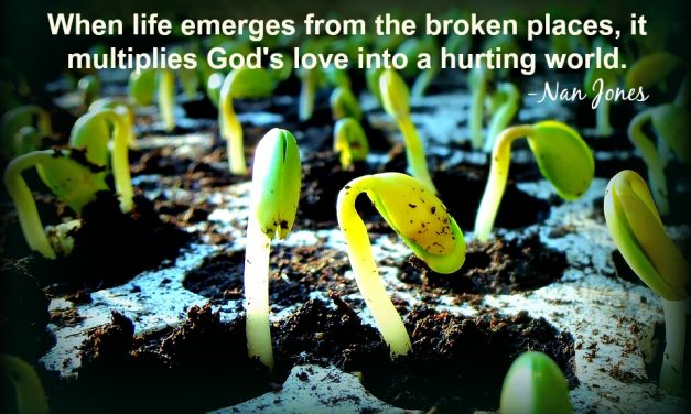 The Fragrance of Life Emerges From the Broken Places
