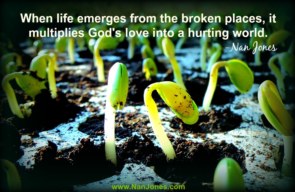 A yielded life multiplies God's love, even from the broken places.