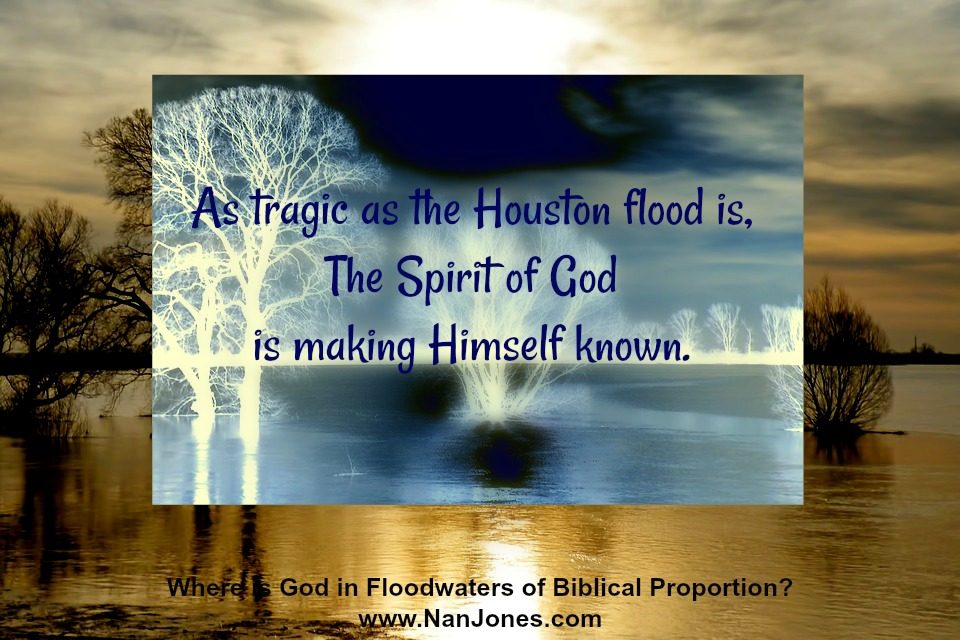 Finding God’s Presence ~ Where is God in Floodwaters of Biblical Proportion?