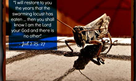 Finding God’s Presence ~ In a Locust? Seriously?