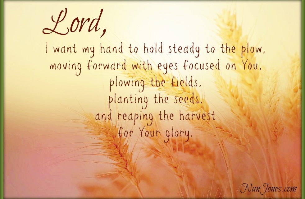 Finding God’s Presence ~ A Prayer for Strength to Keep My Hand to the Plow