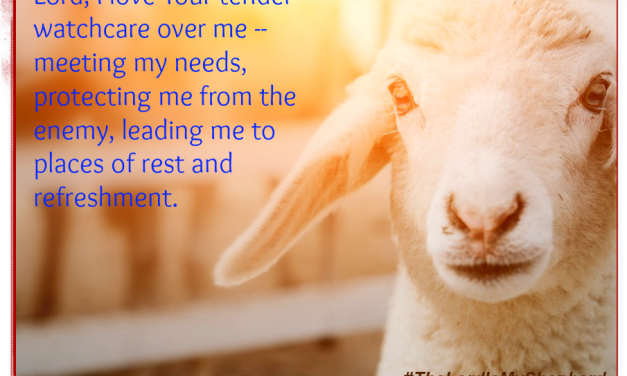 A Prayer to Face the Days Ahead as Our Shepherd Leads Us