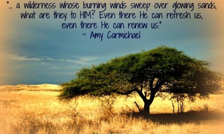 Finding God’s Presence ~ Wilderness. A Place of Difficulty or Peace?