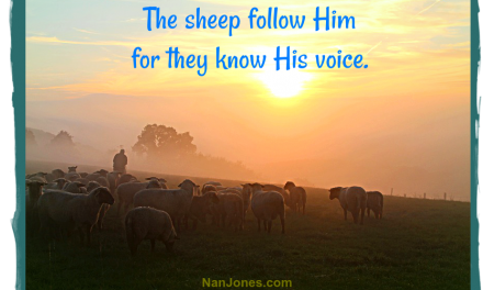 Finding God’s Presence ~ Are You Questioning the Shepherd’s Voice?