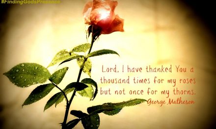 Finding God’s Presence ~ Have You Thanked God For The Thorns? Me, Either! ‘Til Now
