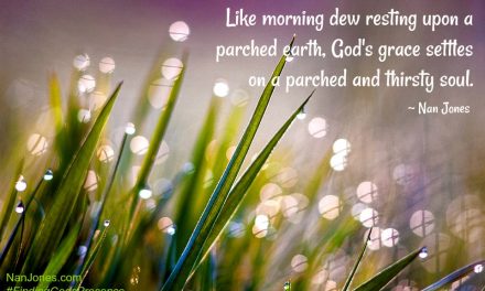 Finding God’s Presence ~ The Juxtapositions Creating Dew, Grace, and Hope