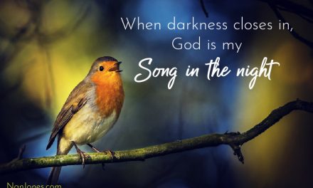 A Prayer for Your Song in the Night that Got Muffled