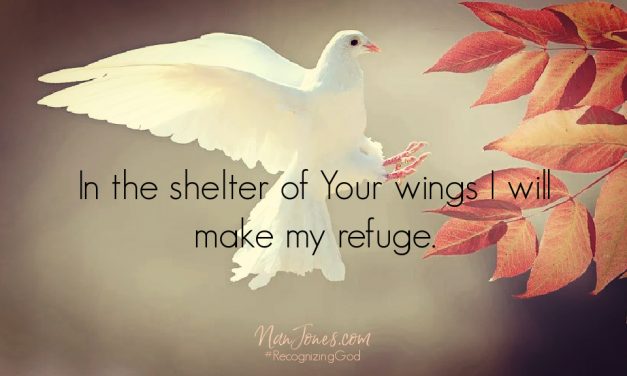 Prayer: Hiding in the Shadow of His Wings, but Needing Mercy