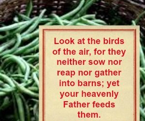 Scriptures of Encouragement ~ A Lesson in Grace