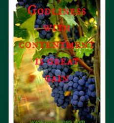 Scriptures of Encouragement ~ Contentment Fertilizer