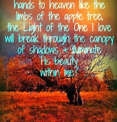 Scriptures of Encouragement ~ Beauty in the Season of Rest