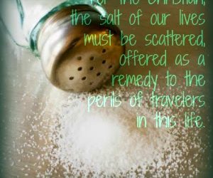 Scriptures of Encouragement ~ Those Glorious Salt Trucks