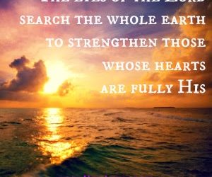 Scriptures of Encouragement ~ The Lesson of Black Walnuts