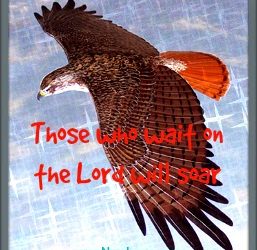 Scriptures of Encouragement ~ Feathers Like Burnished Wood