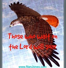 Scriptures of Encouragement ~ Feathers Like Burnished Wood