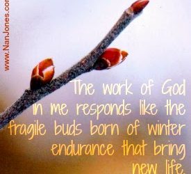 Scriptures of Encouragement ~ The Works of God