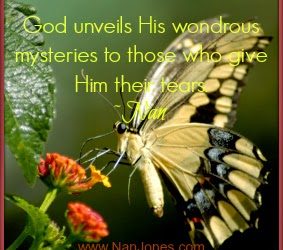 Scriptures of Encouragement ~ A Flower Bloomed