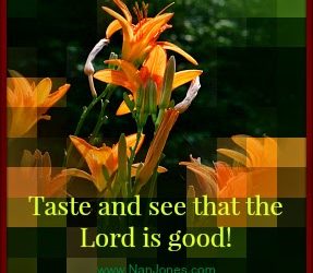 Scriptures of Encouragement ~ Leave the Chaos Behind