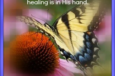 Finding God’s Presence ~ The Chrysalis