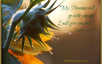 Finding God’s Presence ~ The Gift of The Moments