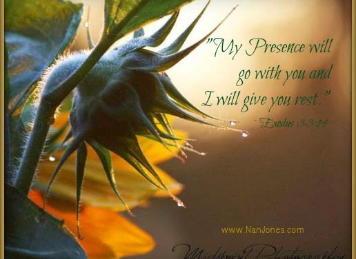 Finding God’s Presence ~ The Gift of The Moments