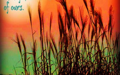 Finding God’s Presence ~ Where is God While I Wait?