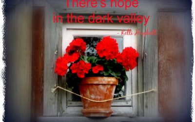 Finding God’s Presence ~ How Can We Bloom When We’re in A Dark Place?