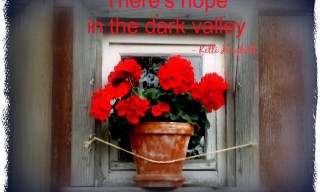 Finding God’s Presence ~ How Can We Bloom When We’re in A Dark Place?