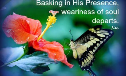 Finding God’s Presence ~ Reflective Basking