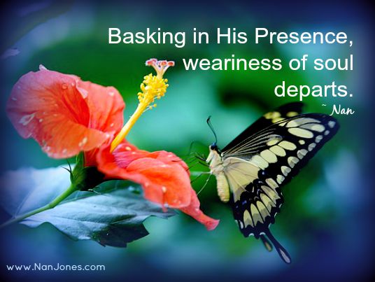 Finding God’s Presence ~ Reflective Basking