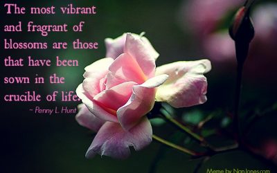Finding God’s Presence ~ God Never Wastes Our Pain