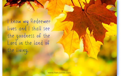 Finding God’s Presence ~ The Resting Tree