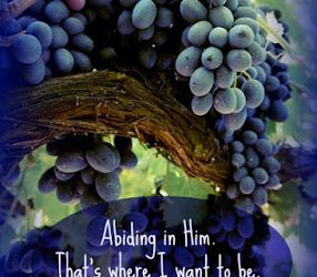 Finding God’s Presence ~ Where is God in My Winter Season?