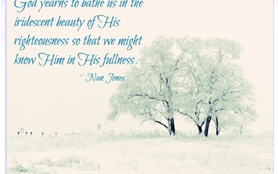 Finding God’s Presence ~ Consider the Bluebird