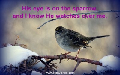 Finding God’s Presence ~ Why Do the Sparrows Sing in Winter?