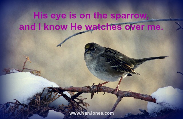Finding God’s Presence ~ Why Do the Sparrows Sing in Winter?
