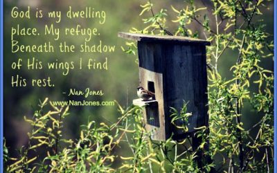 Finding God’s Presence ~ Where is God When I Need to Find Home?