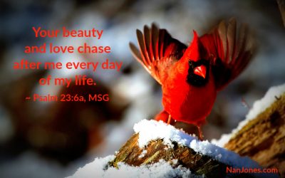 Finding God’s Presence ~ Does God Still Set A Table Before Us?