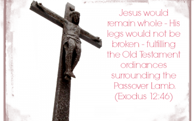 Finding God’s Presence ~ He Chose the Cross