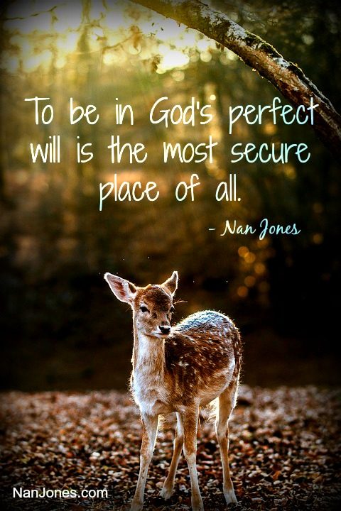 Obedience requires a cost, but it places us in the midst of God's perfect will.