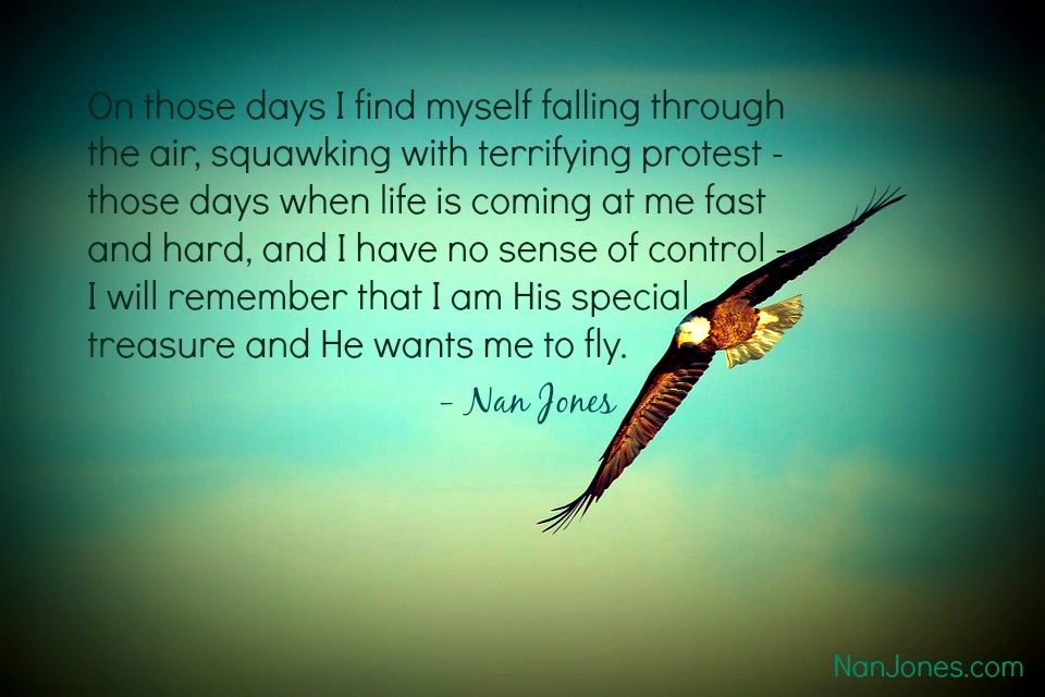 On the Heights of the Wind is Where I will Soar with Him