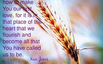 How is The Lord Our Sure Place? SUNDAY GLIMPSES