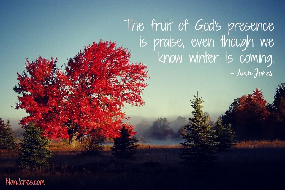 Could the Fruit of God’s Presence Be Praise? The Story of the Maple Tree