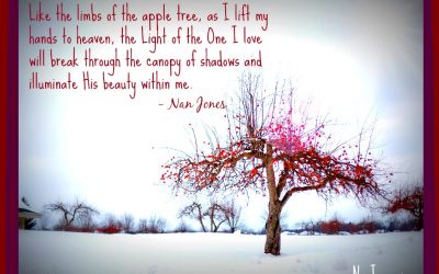The Apple Tree and Fruit From Another Season