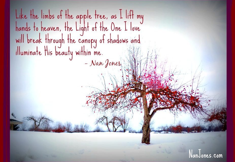 The Apple Tree and Fruit From Another Season