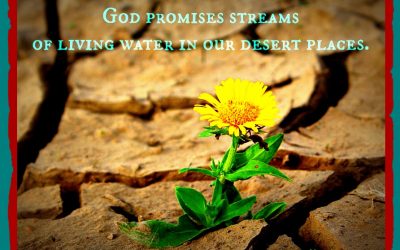 Finding God’s Presence ~ Where is God When I Feel Insignificant?