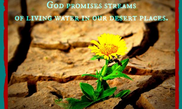 Finding God’s Presence ~ Where is God When I Feel Insignificant?