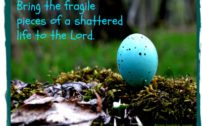 The Breaking of a Robin’s Egg and Hope Secured